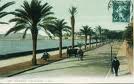 Cannes_croisette.jpg